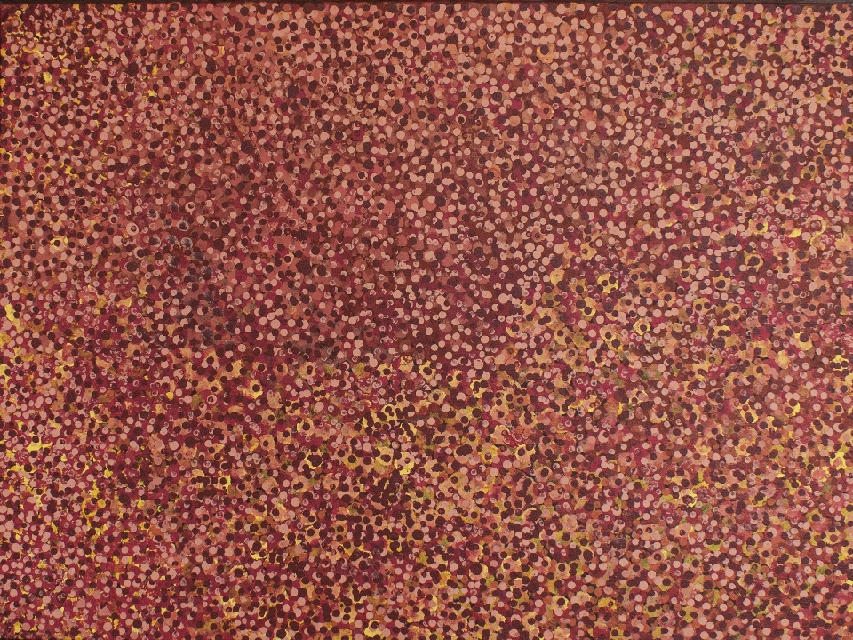 Wild Fruits - EKKHF1Z107 by Emily Kame Kngwarreye