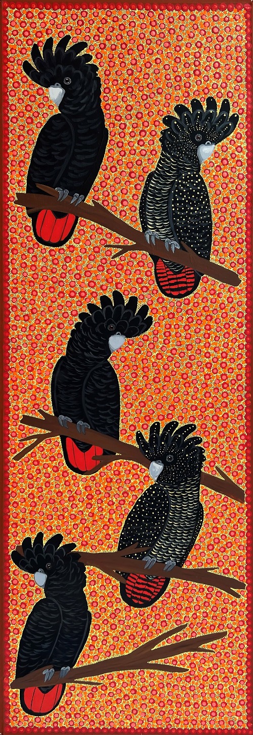 Red Tail Black Cockatoos - KBZG0764