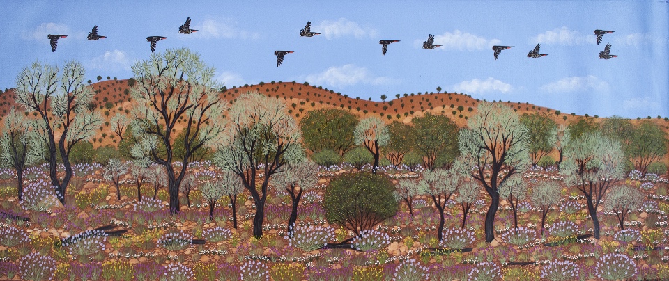 Central Australian Wildflowers - KBZG1016 by Kathleen Buzzacott