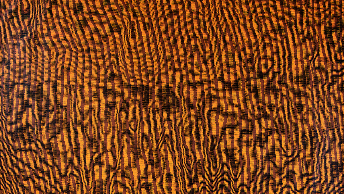 detail of one of Yukultji's incredible dot paintings